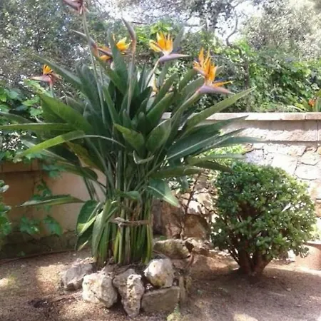Holiday home Casa Remey